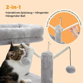 Katze spielt mit einem grauen 2-in-1 interaktiven Kratzpfosten mit hängendem Bommel; sichtbarer Text: „2-in-1“ und „Interaktives Spielzeug“.