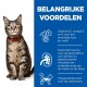 Eine getigerte Katze mit grünen Augen und einem roten Halsband sitzt neben einem blauen Abschnitt, der Vorteile auflistet: Vitamin E, Omega 3 & 6, Taurin und Protein.