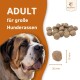 Ein schwarzer Hund plantscht im Wasser, mit Text, der die Vorteile einer getreidefreien Ernährung für die Verdauung, Hautgesundheit und Proteinzufuhr hervorhebt.