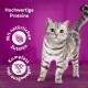 Een zilver tabby kat op hout met een paarse achtergrond met tekst: "Hochwertige Proteine," "Mit natürlichen Zutaten," "Komplett 100% ausgewogen."