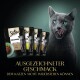 Eine graue Katze leckt sich die Lippen neben vier Sheba Katzenfutterbeuteln, mit dem Text 'Ausgezeichneter Geschmack, dem Katzen nicht widerstehen können.'