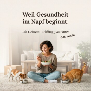Frau auf einem Teppich, die aus einer Schüssel isst, während Hund und Katze aus Futternäpfen fressen; sichtbarer deutscher Text: „Weil Gesundheit im Napf beginnt.“