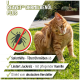 Flasche REAVET Ohrmilben Öl Plus für Haustiere, mit einem Katzenbild, mit Text, der Vorteile wie effektive Behandlung von Ohrmilben und einfache Dosierung hervorhebt.