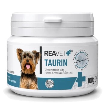 Behälter mit REAVET+ Taurin für Hunde, 100g, mit einem Yorkshire Terrier auf dem Etikett und dem Text "Unterstützt das Herz-Kreislauf-System."