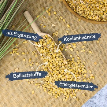 Eine Holzschaufel mit gelben Körnern auf Jute, beschriftet mit deutschen Begriffen für Ergänzung, Kohlenhydrate, Ballaststoffe und Energielieferant.
