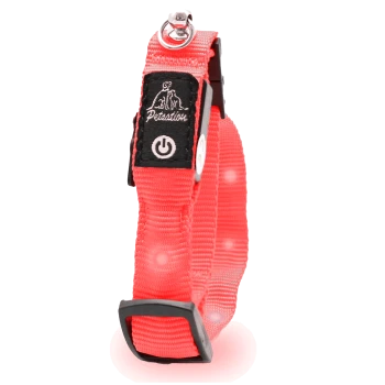 Ein leuchtend rotes Hundehalsband mit einem schwarzen Logo-Patch und einem Symbol für den Einschaltknopf, das für Sichtbarkeit und Sicherheit konzipiert ist.