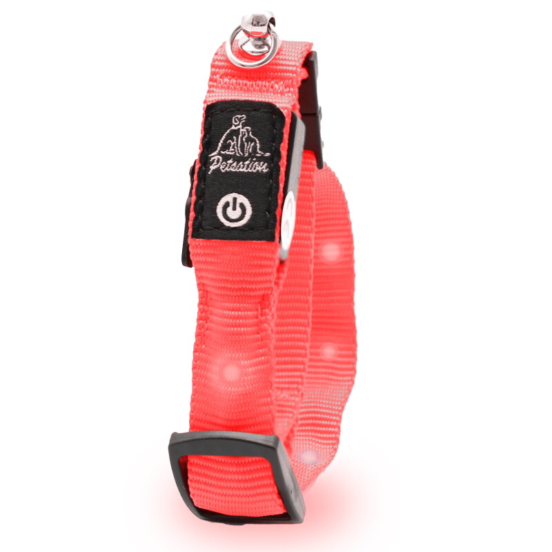 Petsation leuchtendes Katzenhalsband S rot