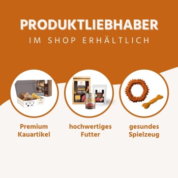 Bild zur Förderung von Haustierprodukten mit drei Abschnitten: Kauartikel, hochwertiges Futter und gesunde Spielzeuge.