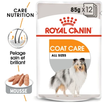 Emballage de nourriture pour chien Royal Canin Coat Care, présentant les étiquettes "Care Nutrition" et "Coat Care," avec une image d'un pelage de chien en bonne santé.
