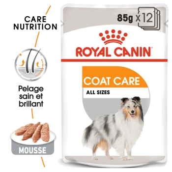 Emballage de nourriture pour chien Royal Canin Coat Care, présentant les étiquettes "Care Nutrition" et "Coat Care," avec une image d'un pelage de chien en bonne santé.