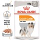 Emballage de nourriture pour chien Royal Canin Coat Care, présentant les étiquettes "Care Nutrition" et "Coat Care," avec une image d'un pelage de chien en bonne santé.
