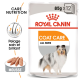 Emballage de nourriture pour chien Royal Canin Coat Care, présentant les étiquettes "Care Nutrition" et "Coat Care," avec une image d'un pelage de chien en bonne santé.