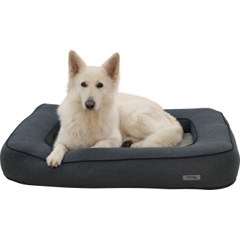 Weißer Hund liegt auf einem dunkelgrauen rechteckigen Hundebett mit einem "KERBL"-Etikett an der Vorderseite.