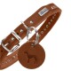 Brauner Leder-Hundehalsband mit silbernen Nieten und einem runden Anhänger mit einem Hundesilhouette, markiert mit "HUNTER."