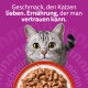 Grau getigerte Katze mit goldenen Augen und einer Schüssel Nassfutter vor lila Hintergrund; deutscher Text: 'Geschmack, den Katzen lieben.'