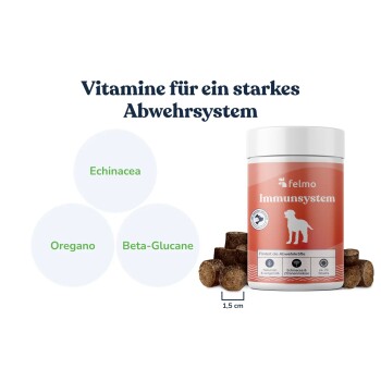 Felmo 'Immunsystem' Glas mit runden Leckerlis; Text: Vitamine für ein starkes Abwehrsystem, Echinacea, Oregano, Beta-Glucane, 1,5 cm.