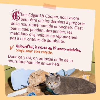 Chat gris aux yeux ambrés parmi des emballages sous une carte portant le texte « PP mono‑matériau, conçu pour être recyclé. »