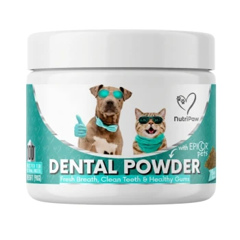 White jar of NutriPaw Dental Powder for pets, teal label with dog and cat in teal sunglasses, visible text 'DENTAL POWDER'.