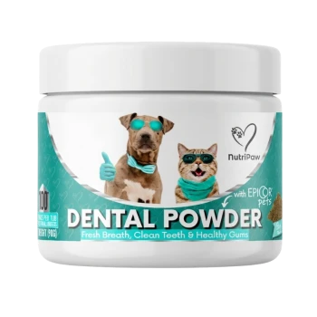 White jar of NutriPaw Dental Powder for pets, teal label with dog and cat in teal sunglasses, visible text 'DENTAL POWDER'.