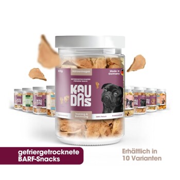 Ein Glas mit gefriergetrockneten Hühnersnacks für Hunde von KAUDAS, mit einem schwarzen Hund und Etiketten auf Deutsch, im Hintergrund weitere Geschmacksrichtungen.