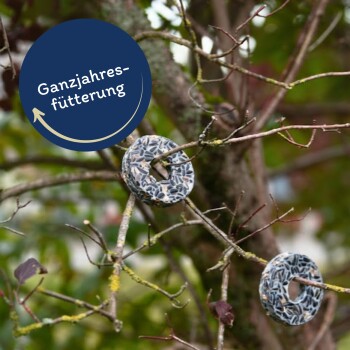 Drei runde Vogelhäuschen, gefüllt mit Samen, die an einem Baumast hängen, mit einem blauen Etikett mit der Aufschrift "Ganzjahresfütterung".