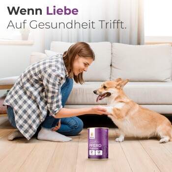 Eine Frau in einem karierten Hemd kniet auf einem Holzboden mit einem glücklichen Corgi und Hundefutter, das "Pferd" beschriftet ist. Text: "Wenn Liebe Auf Gesundheit Trifft."
