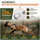 Leuchtend orangefarbenes flexibles Hundespielzeugseil, auf weißem Hintergrund geschlungen.
