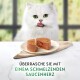 Eine flauschige weiße Katze mit grünen Augen sitzt neben einem runden, kuchenförmigen Haustierfutter. Text: "Überrasche Sie mit einem schmelzenden Saucenherz."