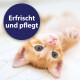 Ein neugieriges Kätzchen mit großen Ohren und leuchtenden Augen, das aus einem geflochtenen Korb schaut, mit dem Text "Entfernt Ohrenschmalz" darüber.