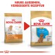 Bild von zwei Royal Canin Hundefuttertüten: "Junior Poodle" links, "Puppy Poodle" rechts, die neues Aussehen und verbesserte Rezeptur präsentieren.