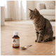 Getigerte Katze sitzt auf Holzboden neben einer Flasche mit der Aufschrift "SUPPORT" Haustierergänzung und einem Löffel mit Flüssigkeit.