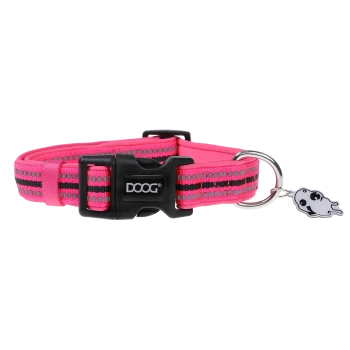 Helle pinke Hundehalsband mit schwarzen Streifen, mit einer schwarzen Schnalle und einem kleinen gespenstischen Anhänger, beschriftet mit "DOOG."