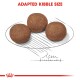 Three round brown kibble pieces on a sketched plate with a ruler marking, labeled "ADAPTED KIBBLE SIZE" in bold red text.