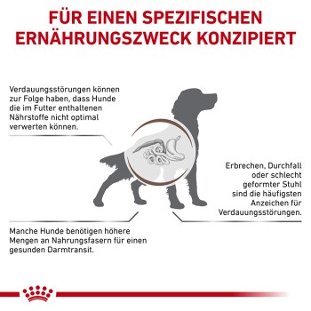 Illustration eines Hundes mit Grafiken des Verdauungssystems und Text über die Ernährungsbedürfnisse von Hunden mit Verdauungsproblemen wie Erbrechen und Durchfall.