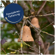 Ein natürlicher Vogelfutterspender in Form einer Glocke, der von einem Baumzweig hängt, mit dem Text "Ganzjahresfütterung" auf einem kreisförmigen blauen Hintergrund.