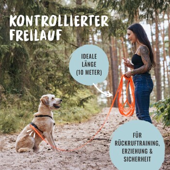 Ein Golden Retriever auf einem Waldweg mit einem Geschirr und einer orangefarbenen Leine. Text: 'Kontrollierter Lauf', 'Ideale Länge (10m)', 'Für Rückruftraining.'