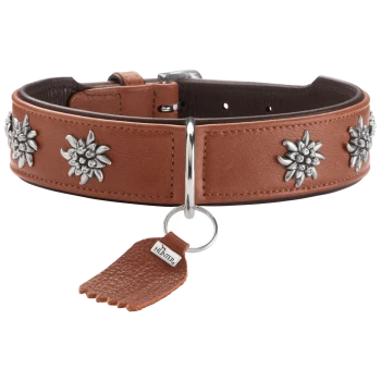 Braunes Lederhalsband mit silbernen Edelweiß-Nieten, zentralem D-Ring und hängendem Lederanhänger mit der Aufschrift "HUNTER".