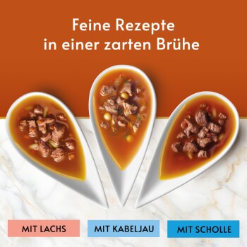 Löffelschalen mit brauner Brühe und Fleischstücken; Text: Feine Rezepte in einer zarten Brühe; MIT LACHS, MIT KABELJAU, MIT SCHOLLE