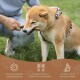 Eine Person kniet auf Gras und hält spielerisch einen Kauknochen für einen Shiba Inu, mit Text über Produktqualität und Sicherheit.