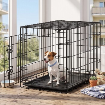 Kleiner Jack Russell in einem schwarzen Draht-Hundekäfig mit geöffneter Tür und Kunststofftablett; mit blauem Halsband, Wassernapf und zusammengelegter Decke in der Nähe.