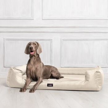 Ein schwarzer Hund liegt auf einem roten Hundebett mit einem Logo, das „tierlando“ liest, vor einem Backsteinwand-Hintergrund.