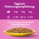 Gele kom met droge kattenvoeding tegen een paarse achtergrond met voedingsrichtlijnen voor 3 kg, 4 kg en 5 kg katten en een WHISKAS® opmerking.