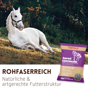 Grüne Luzernepflanzen mit deutschem Text über die Beschaffung der Rohstoffe von lokalen Bauern in Oberbayern, Deutschland.