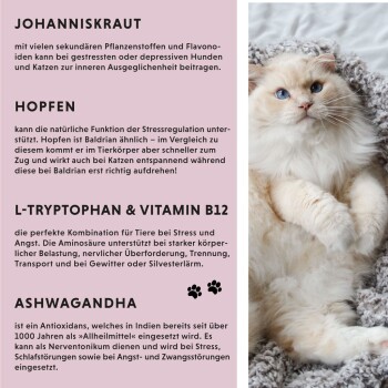 Ein schlafender Chihuahua auf einer flauschigen Decke und eine entspannte getigerte Katze auf einem gefliesten Boden, mit einem Text, der Relax Rescue Liquid für nervöse Haustiere bewirbt.