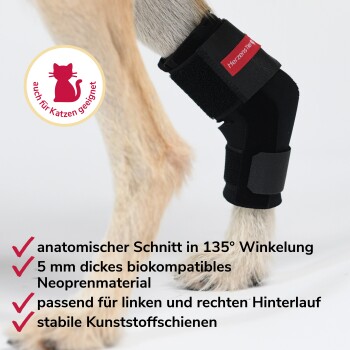 Schwarze elastische Haustierbandage mit Schienenfach und verstellbaren Riemen, beschriftet mit "HerzensTIER" aus einem Online-Tiergeschäft.