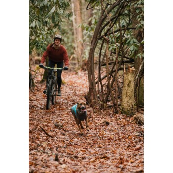 Ein glücklicher Hund in einer blauen Jacke läuft einen mit Blättern bedeckten Waldweg entlang, während eine Person im Hintergrund Mountainbike fährt.
