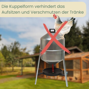 Kuppelförmige Tränke mit rotem X und einem Huhn; Text 'Die Kuppelform verhindert das Aufsitzen und Verschmutzen der Tränke'