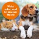 Eine entspannte orange-weiße Katze schläft neben einem Beagle-Hund, mit einem orangefarbenen Kreis, der den Text 'Wirkt sofort und bis zu einer Woche.' enthält.