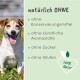 Eine menschliche Hand hält sanft die Pfote eines Hundes auf grünem Gras, mit dem Text "Erfahrung & Vertrauen" und "seit 1999" darüber und darunter.