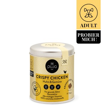 Premium Trockenfutter für Katzen Crispy Chicken 100g